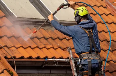 Démoussage et hydrofuge de toiture à Blou